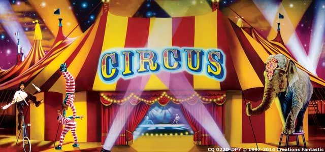 Cirque performing at a Florida event