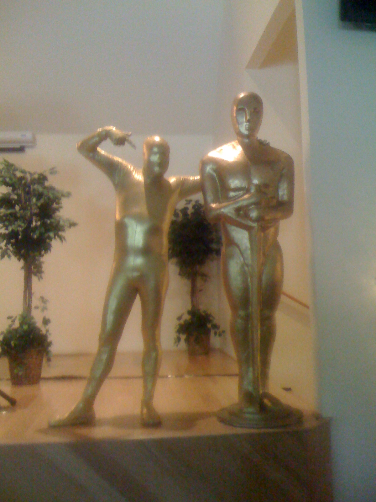 Live Statue performing at a Florida event