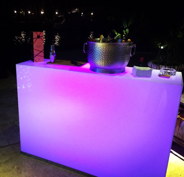 Bartenders & Servers performing at a Florida event