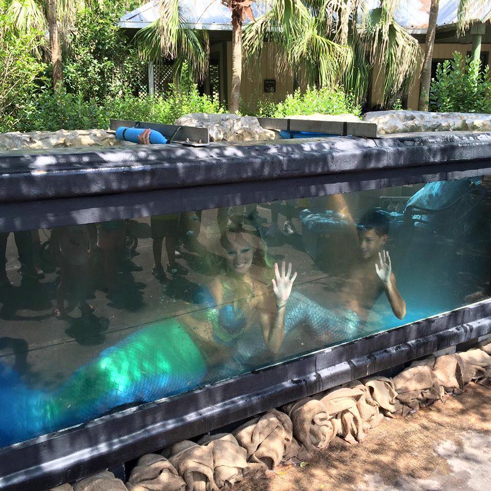 Mermaids performing at a Florida event