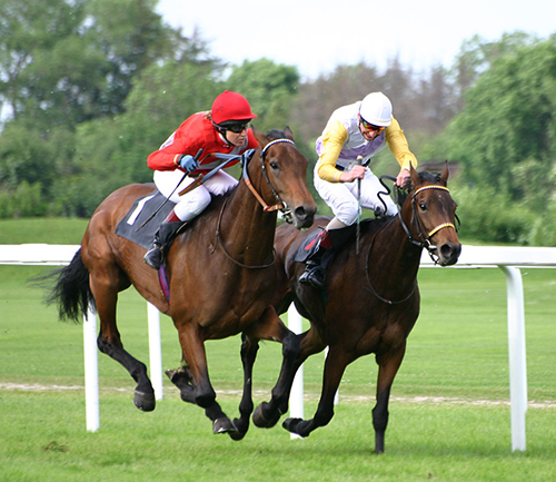 Video Horse Races performing at a Florida event
