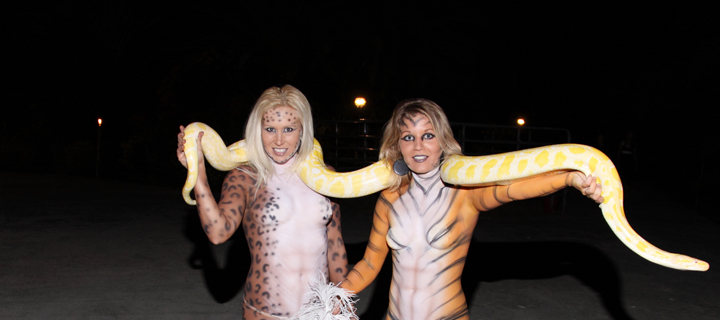 Snake Charmer performing at a Florida event