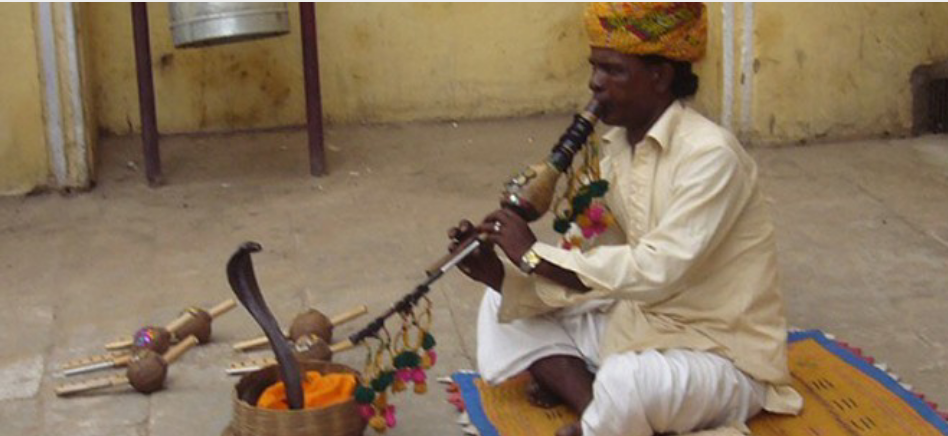Snake Charmer performing at a Florida event