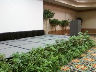Trees & Tropics