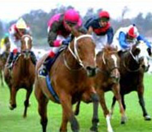 Photo-Finish Horse Races! photo 5