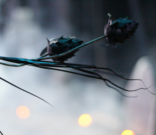Haunted House Production & Halloween Parties! photo 3