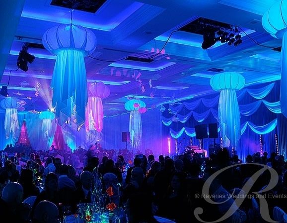 Under The Sea photo 3