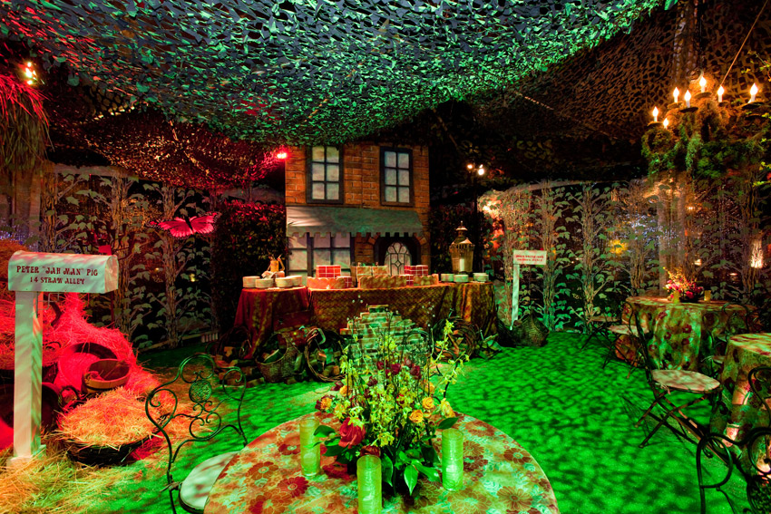 Enchanted Forest photo 4