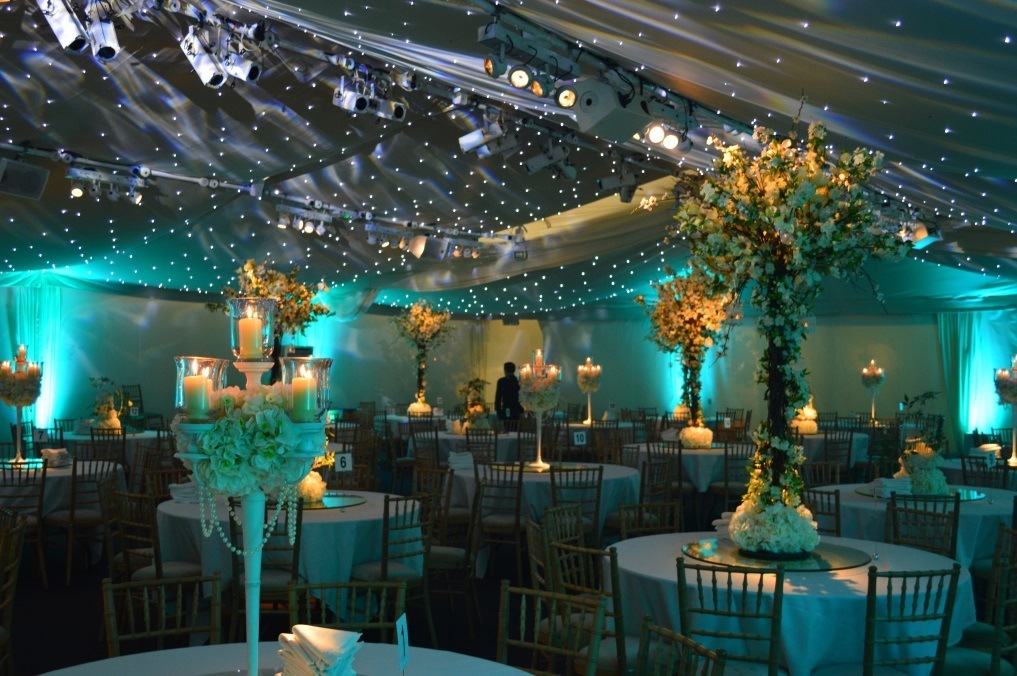 Enchanted Forest photo 8