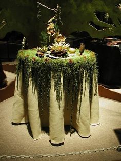 Enchanted Forest photo 15