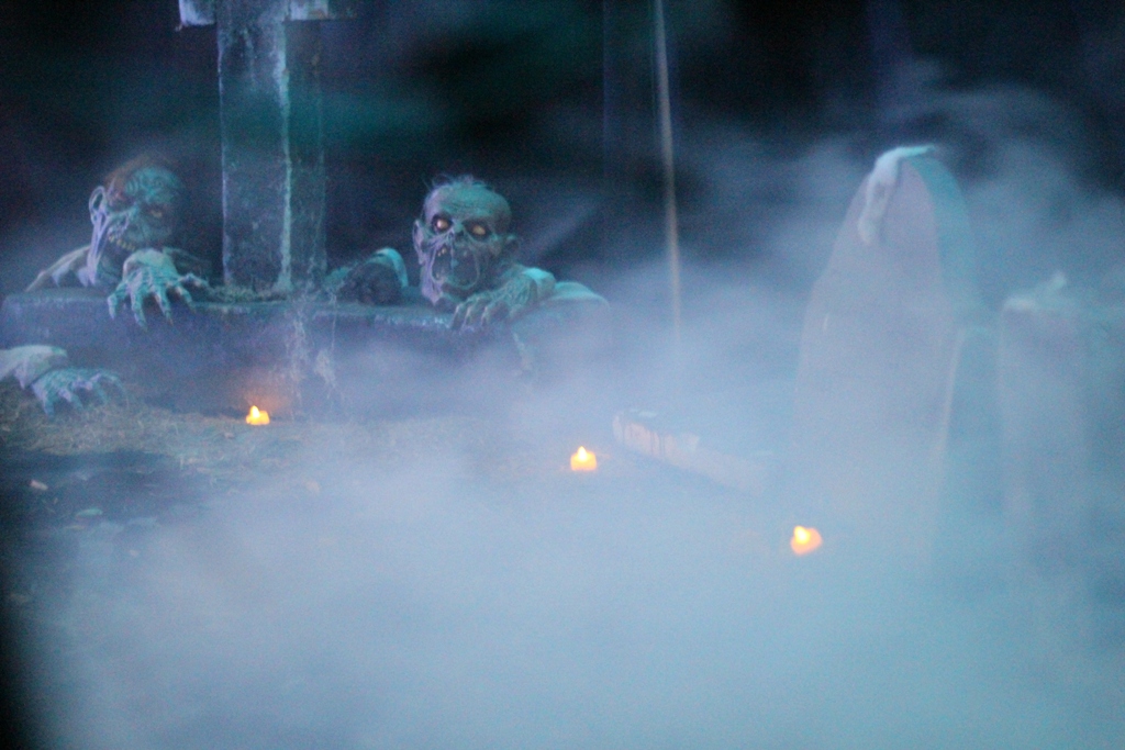 Haunted House Production & Halloween Parties! photo 27