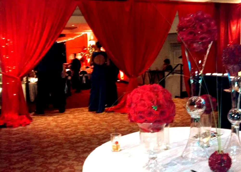 Red Velvet Drapes